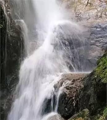 春雨直播app