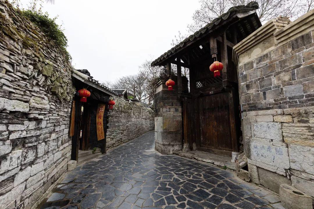 这2种图书入选科技部2023年全国优秀科普作品